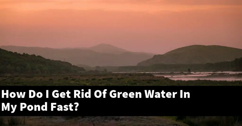 How Do I Get Rid Of Green Water In My Pond Fast? [2024 Guide] Gold