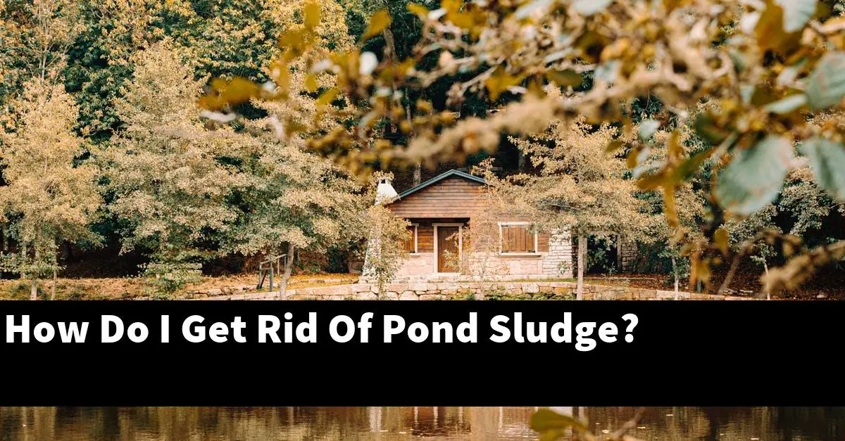 How Do I Get Rid Of Pond Sludge?