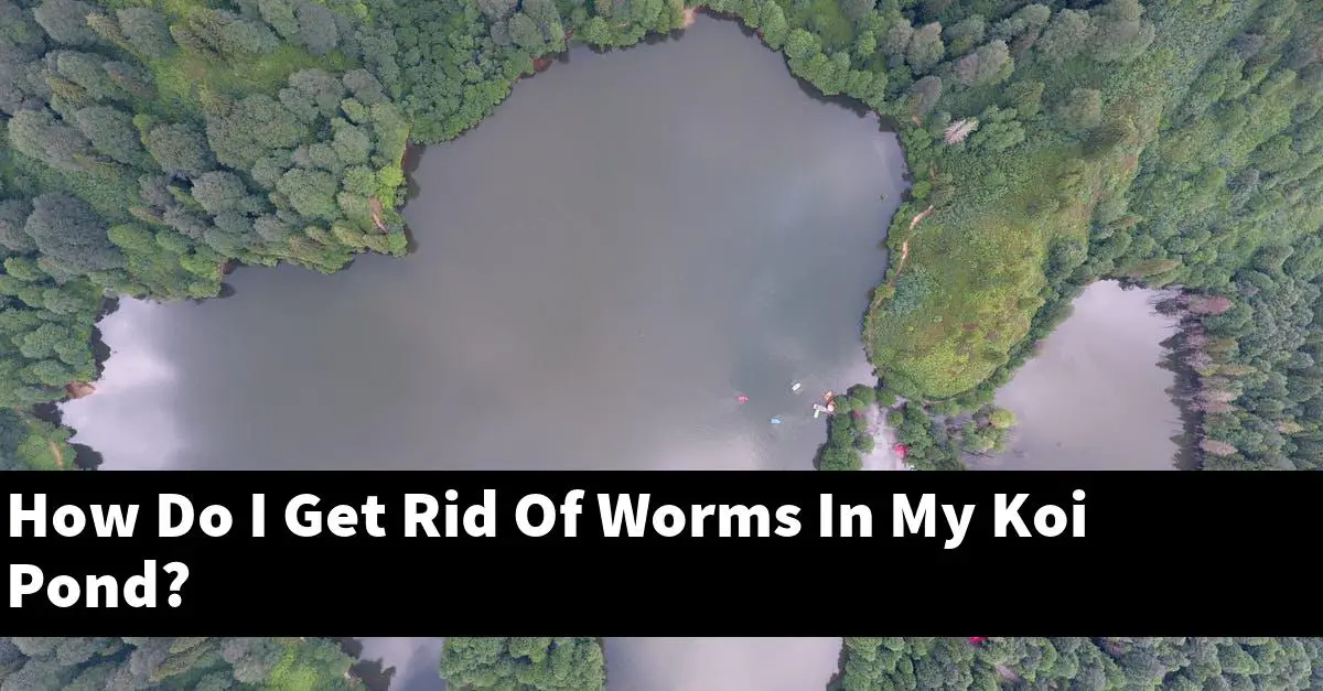 How Do I Get Rid Of Worms In My Koi Pond?