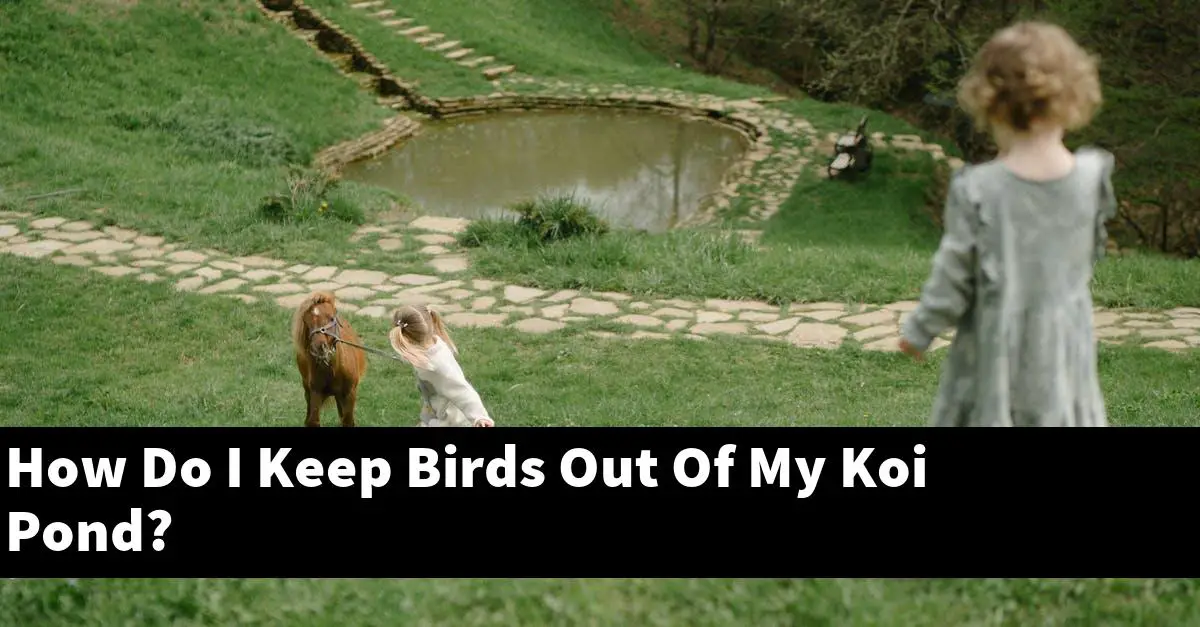 How Do I Keep Birds Out Of My Koi Pond?