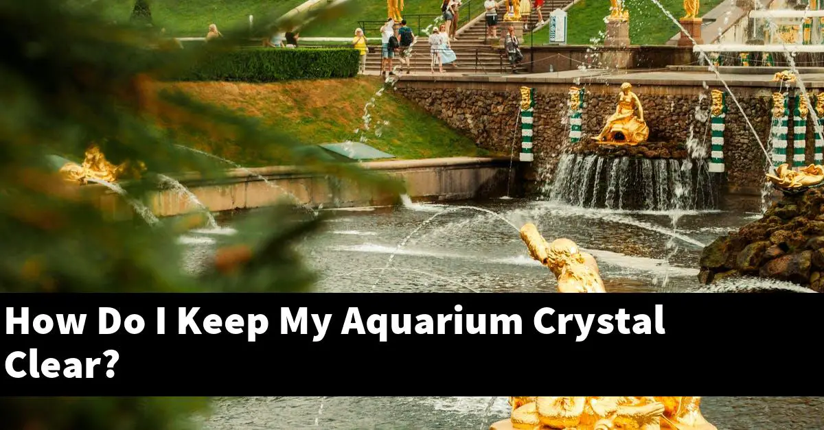How Do I Keep My Aquarium Crystal Clear?