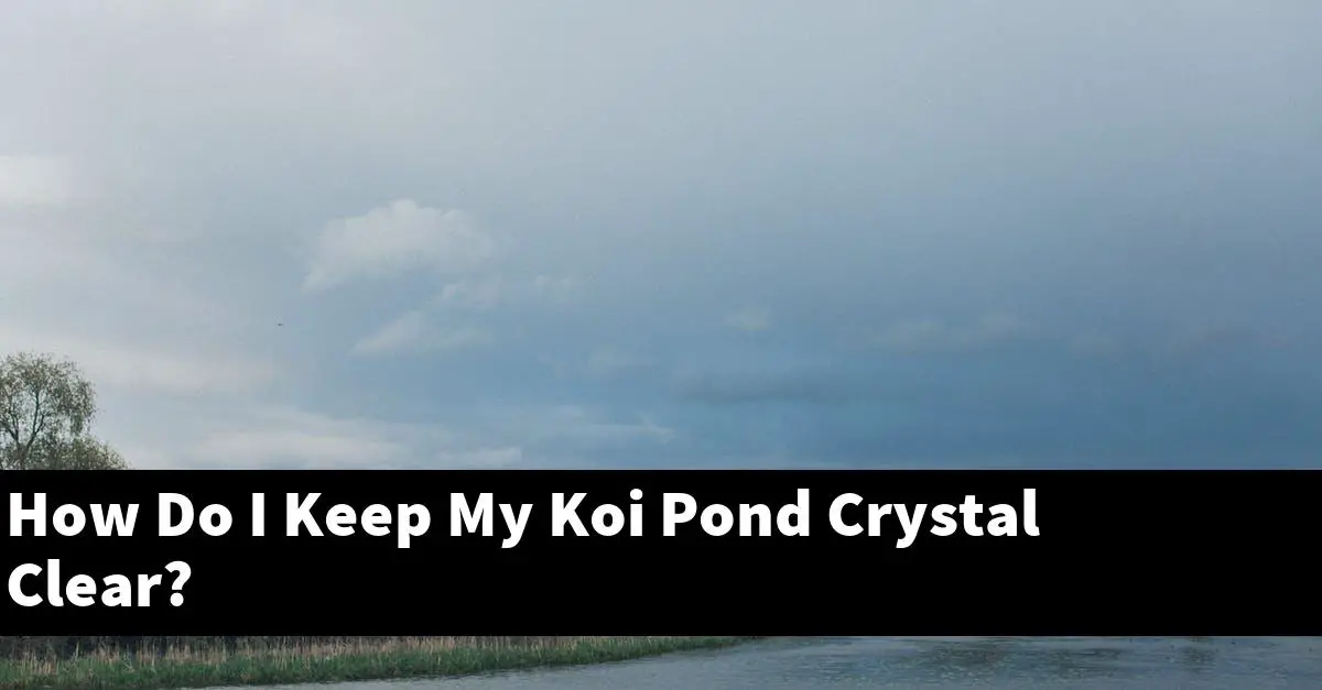 How Do I Keep My Koi Pond Crystal Clear?