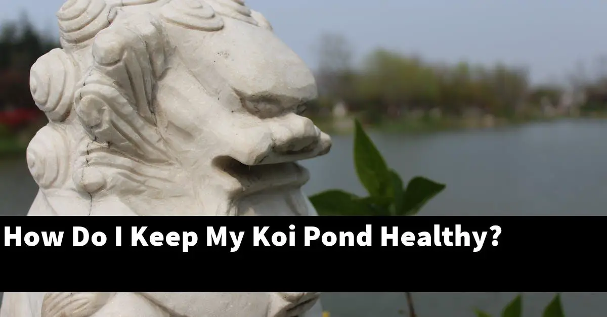 How Do I Keep My Koi Pond Healthy?