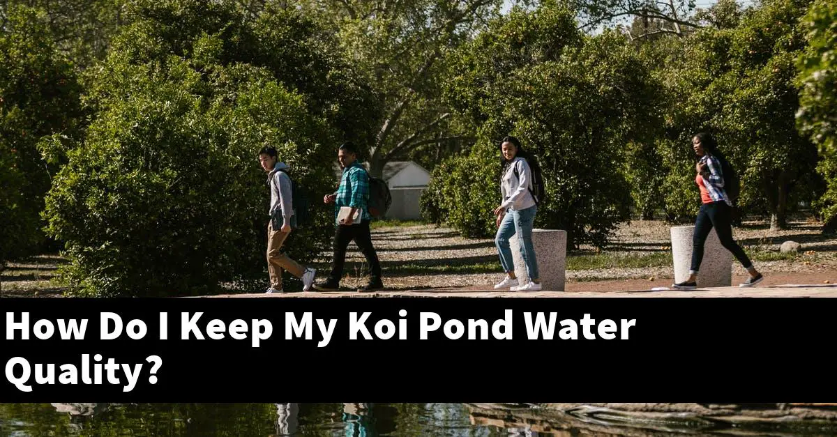 How Do I Keep My Koi Pond Water Quality?