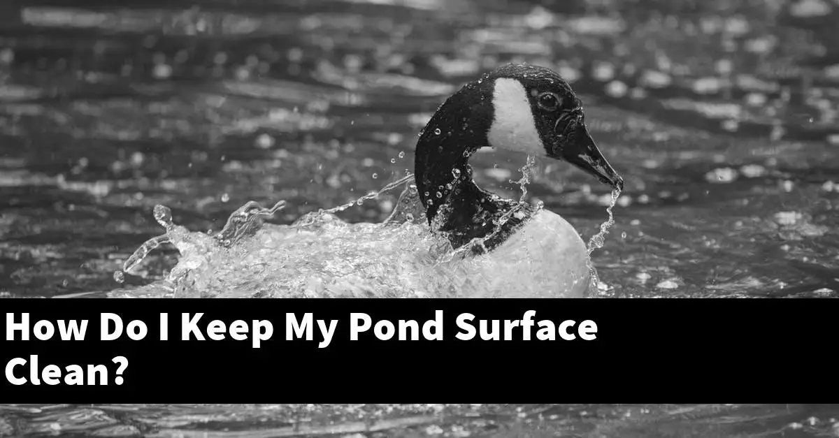 How Do I Keep My Pond Surface Clean?
