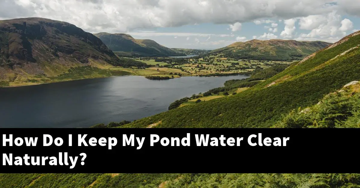 How Do I Keep My Pond Water Clear Naturally?