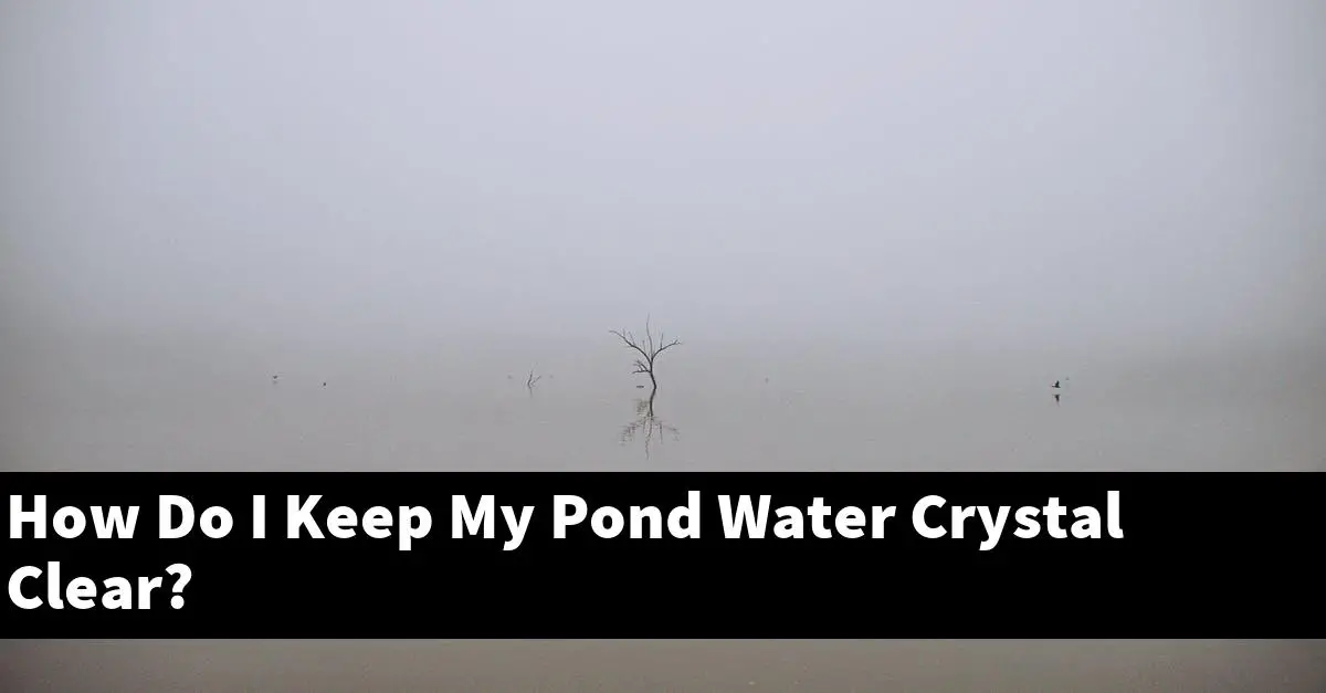 How Do I Keep My Pond Water Crystal Clear?