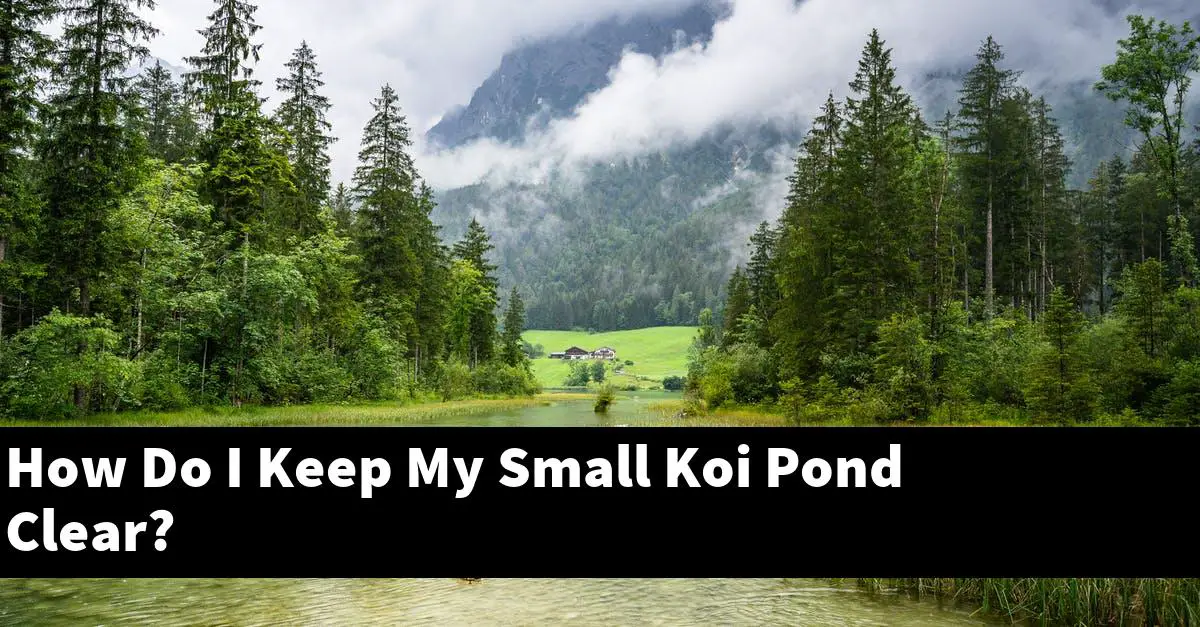 How Do I Keep My Small Koi Pond Clear?