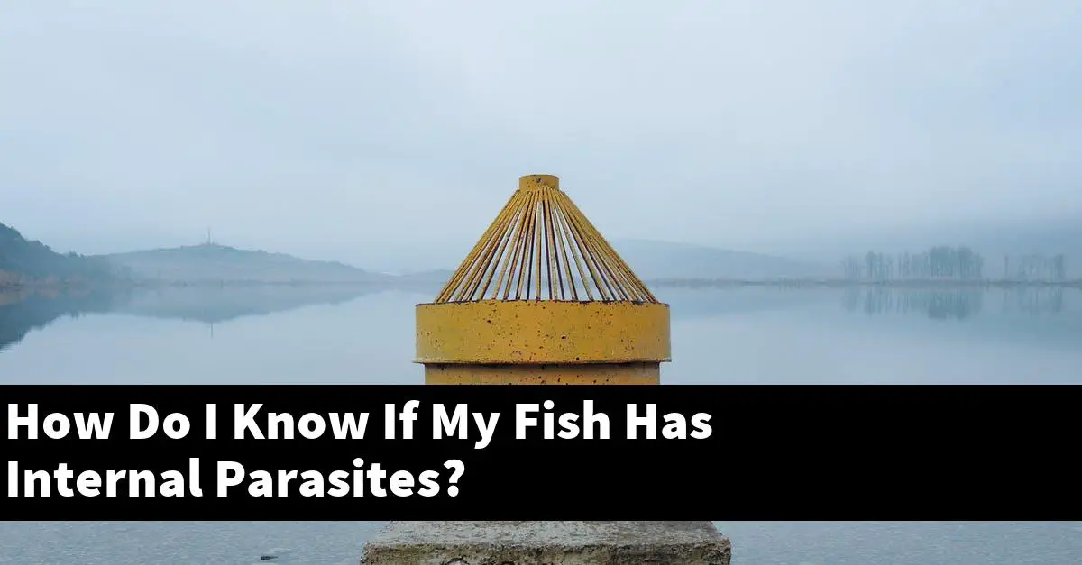 How Do I Know If My Fish Has Internal Parasites?