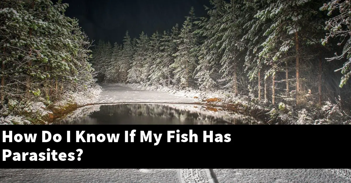 How Do I Know If My Fish Has Parasites?