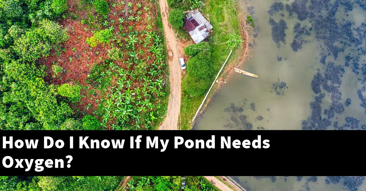How Do I Know If My Pond Needs Oxygen?