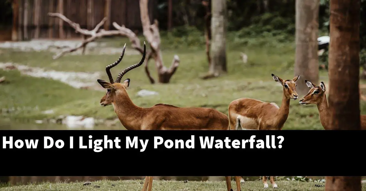 How Do I Light My Pond Waterfall?