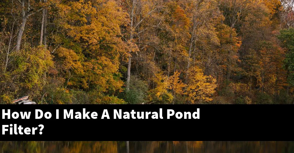 How Do I Make A Natural Pond Filter?