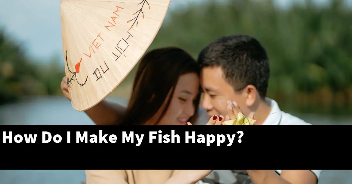 How Do I Make My Fish Happy?