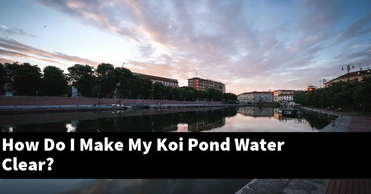 How Do I Make My Koi Pond Water Clear?