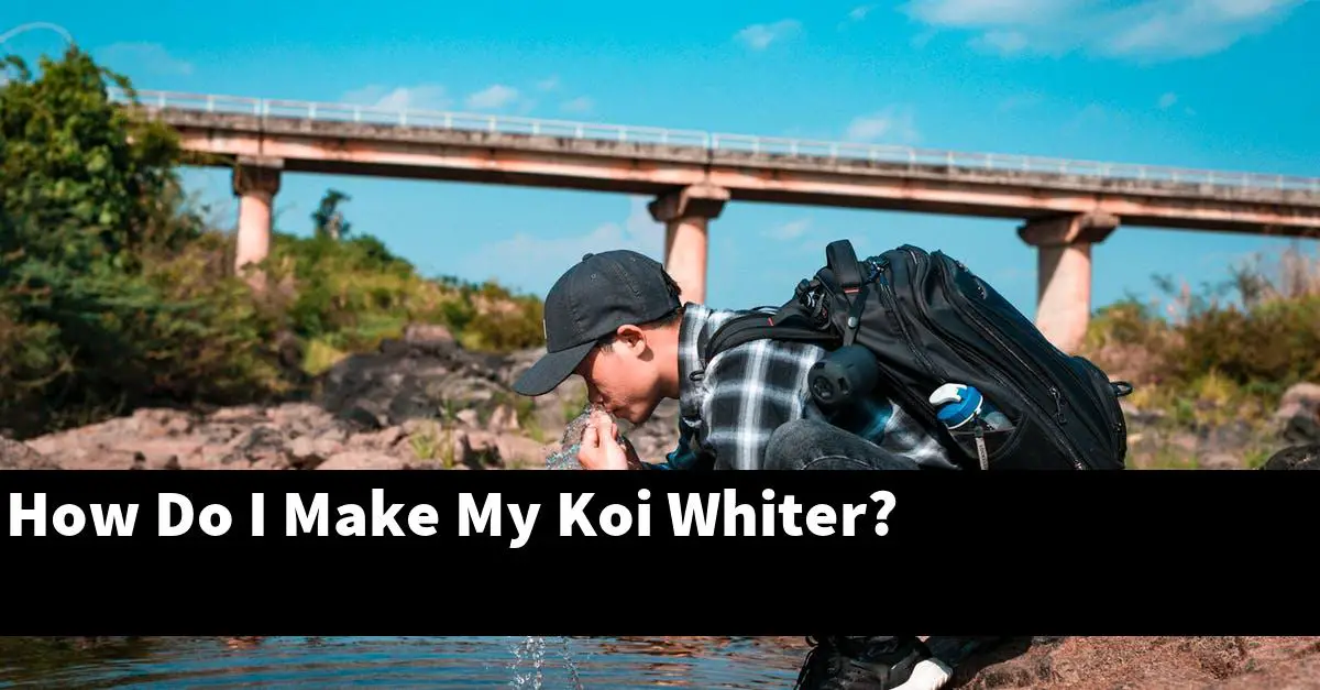 How Do I Make My Koi Whiter?