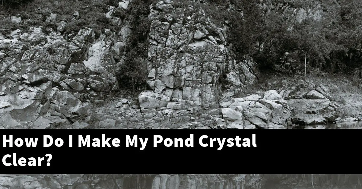 How Do I Make My Pond Crystal Clear?
