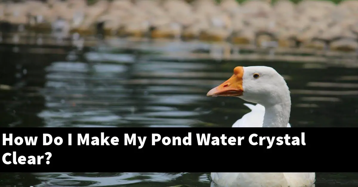 How Do I Make My Pond Water Crystal Clear?