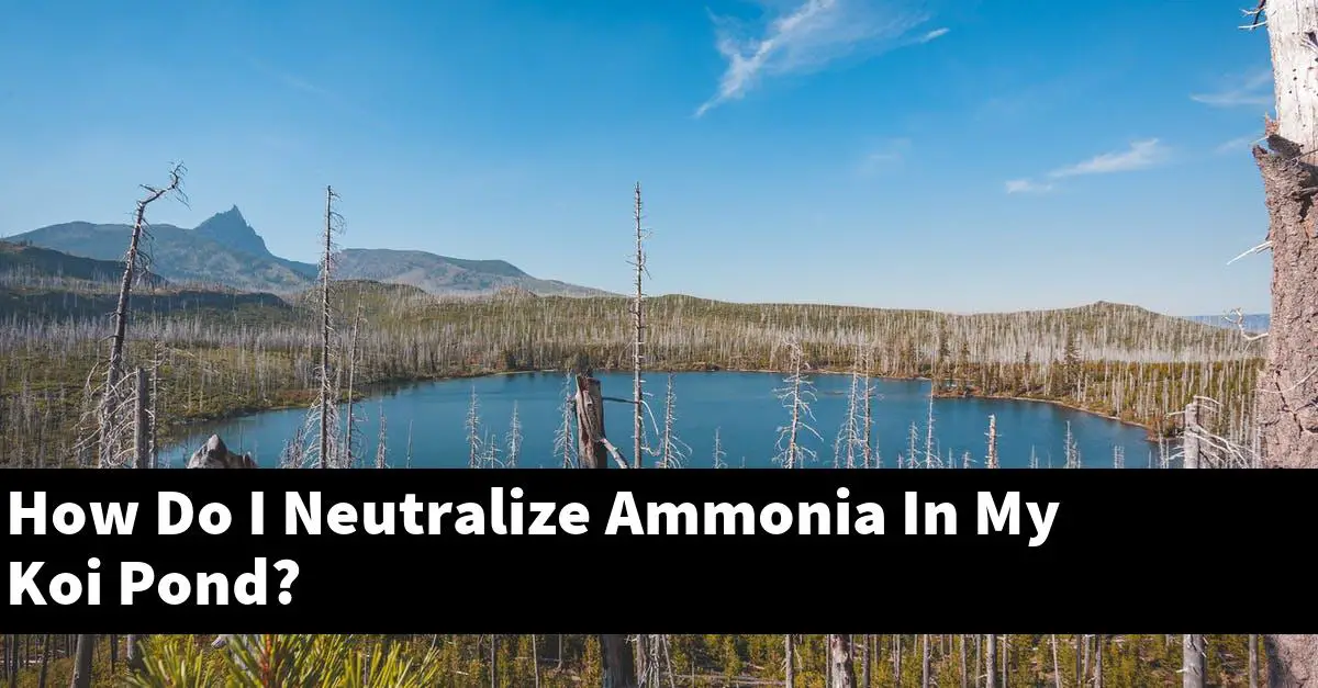 How Do I Neutralize Ammonia In My Koi Pond?