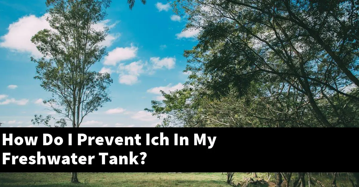 How Do I Prevent Ich In My Freshwater Tank?