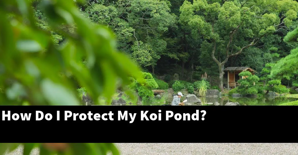 How Do I Protect My Koi Pond?