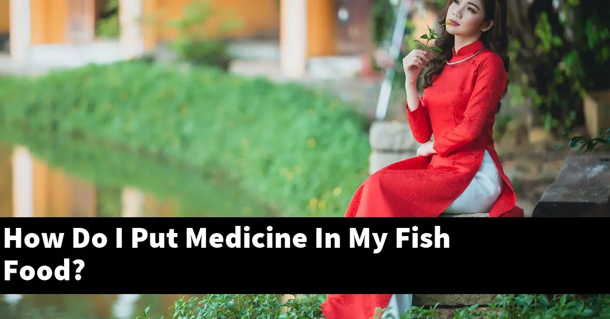 How Do I Put Medicine In My Fish Food?