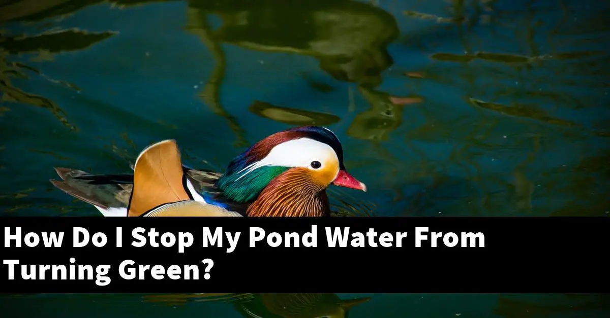 How Do I Stop My Pond Water From Turning Green?