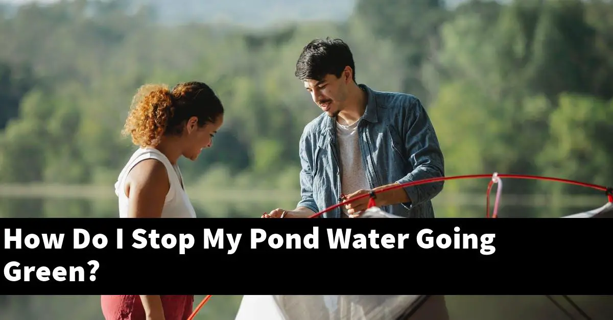 How Do I Stop My Pond Water Going Green?