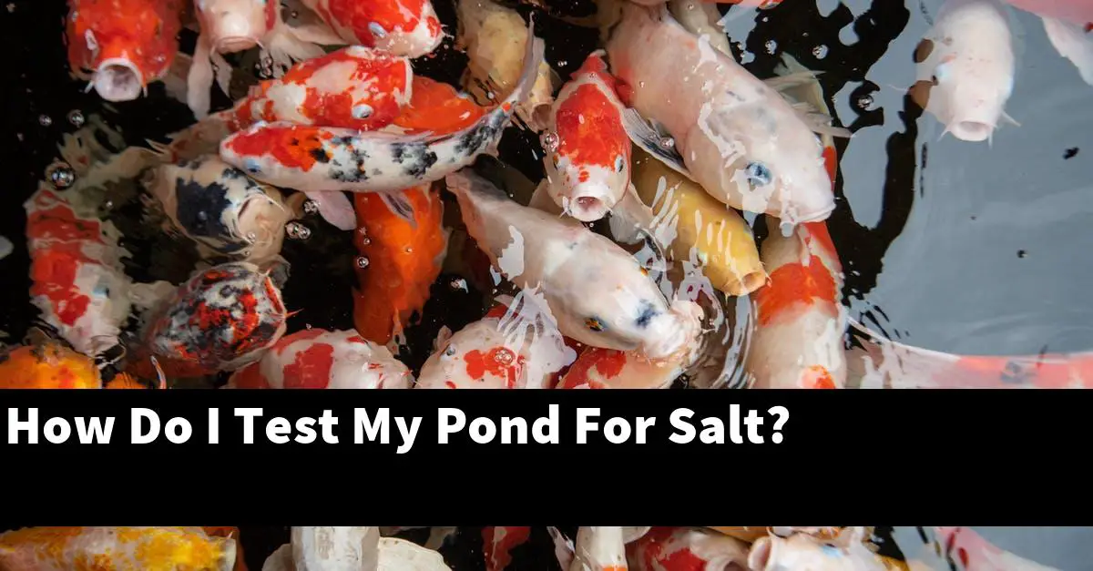 How Do I Test My Pond For Salt?