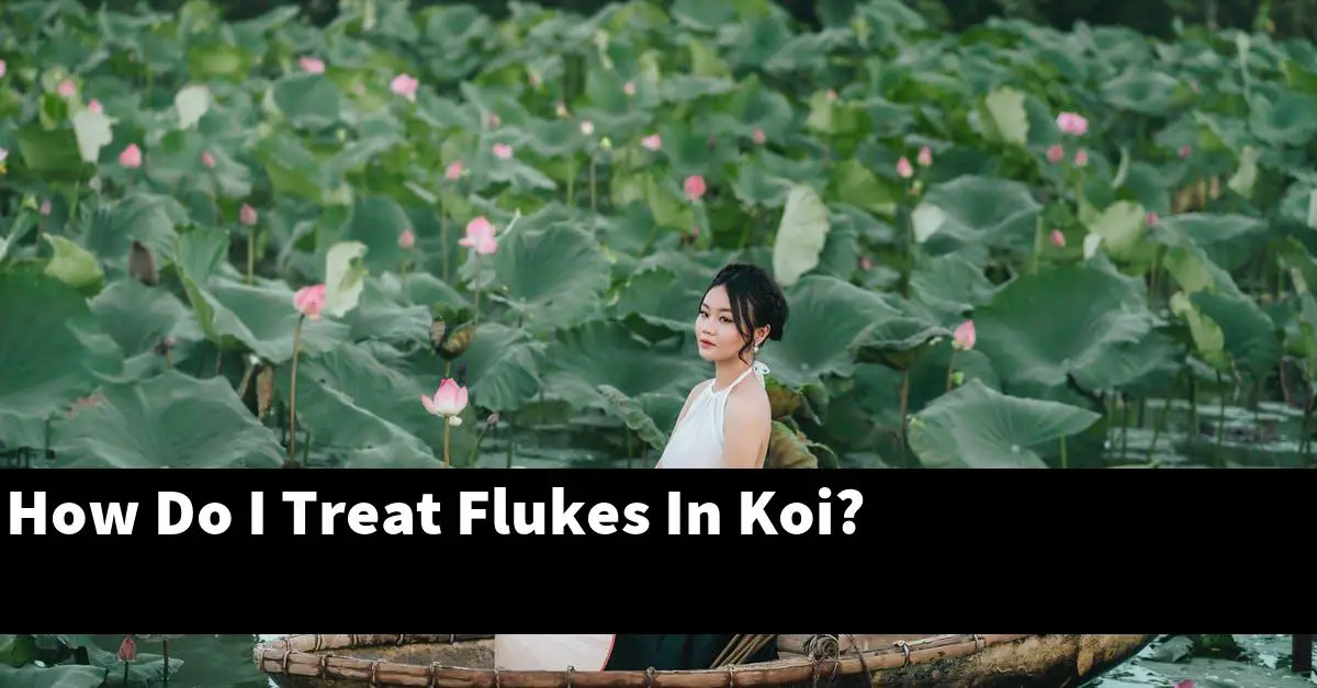 How Do I Treat Flukes In Koi?