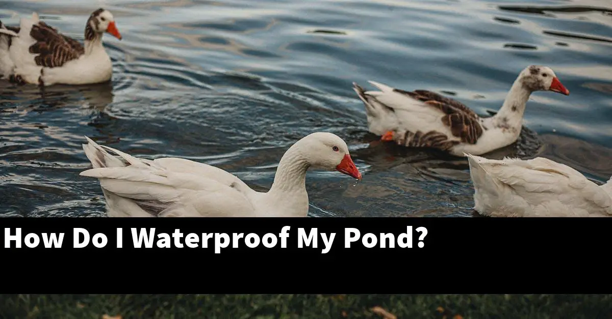 How Do I Waterproof My Pond?