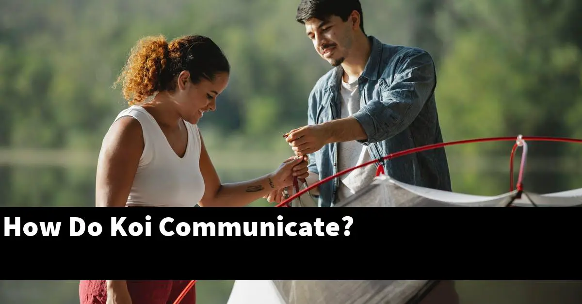 How Do Koi Communicate?