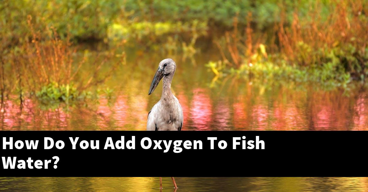 How Do You Add Oxygen To Fish Water?