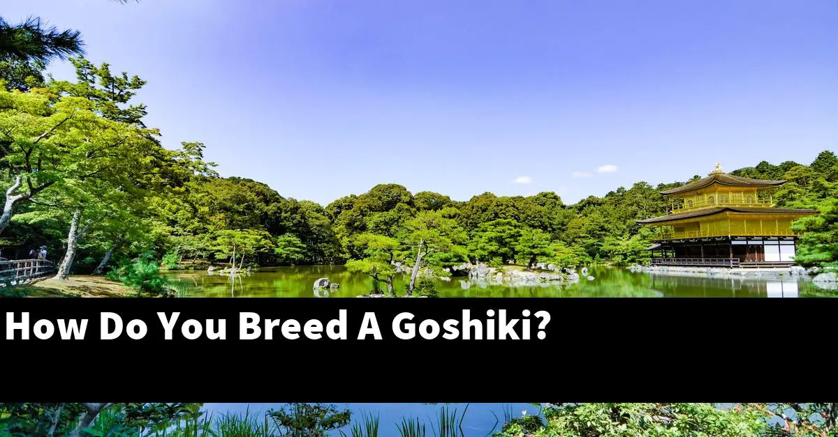 How Do You Breed A Goshiki?