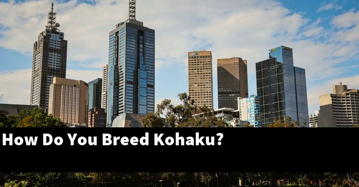 How Do You Breed Kohaku?