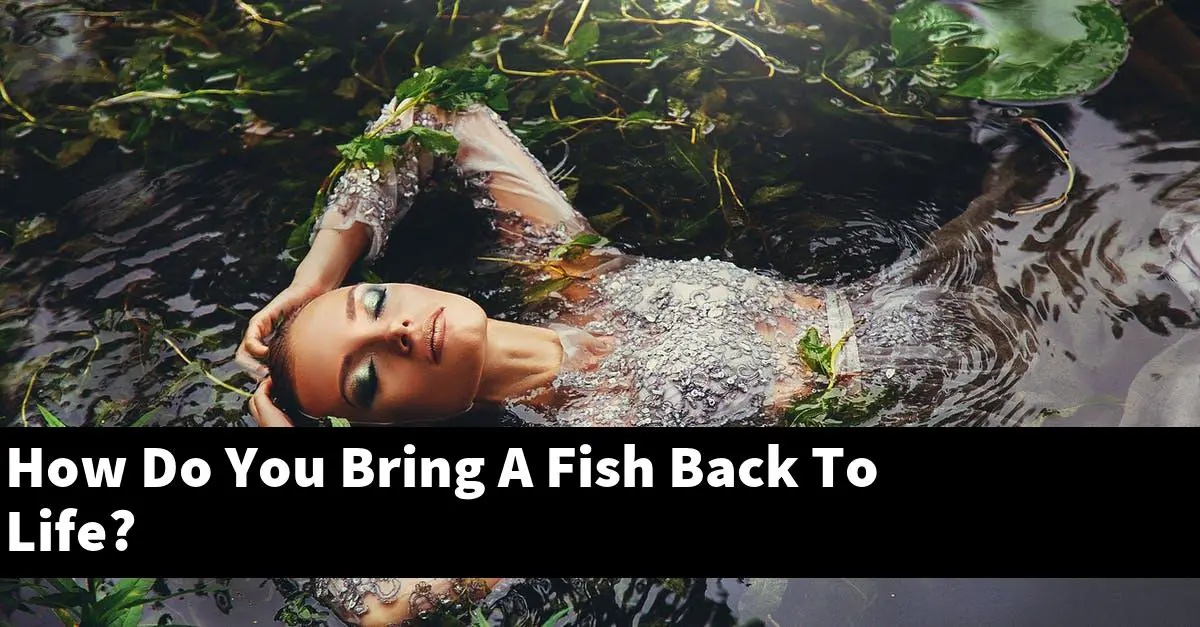 How Do You Bring A Fish Back To Life?