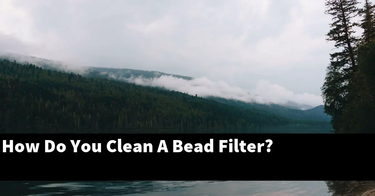 How Do You Clean A Bead Filter?