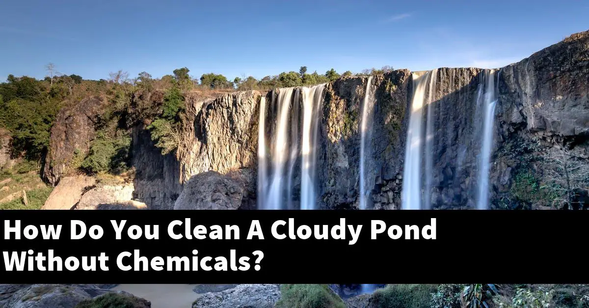How Do You Clean A Cloudy Pond Without Chemicals?