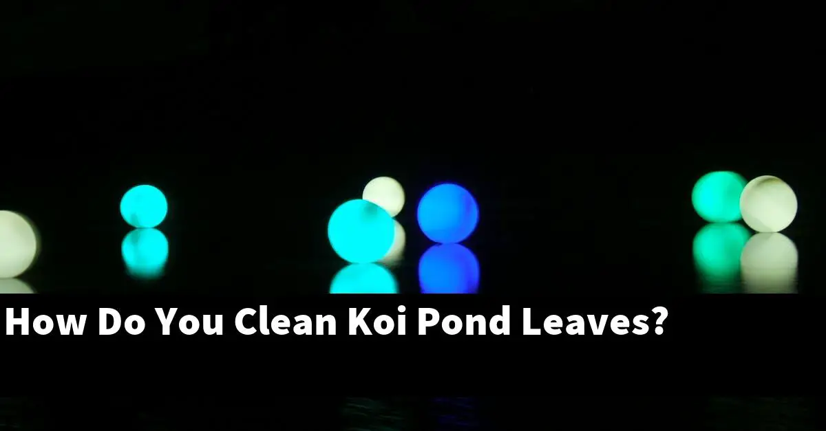 How Do You Clean Koi Pond Leaves?