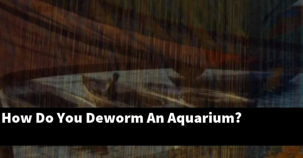 How Do You Deworm An Aquarium?