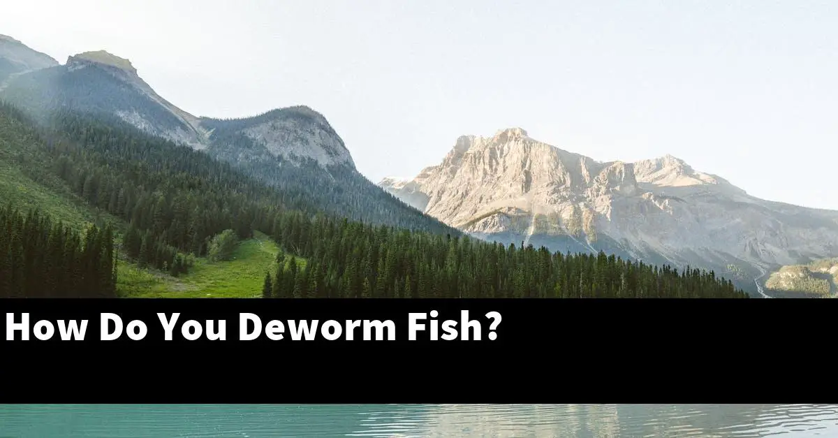 How Do You Deworm Fish?