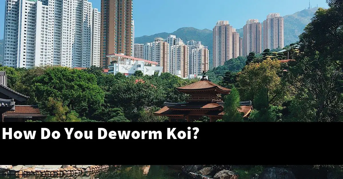 How Do You Deworm Koi?