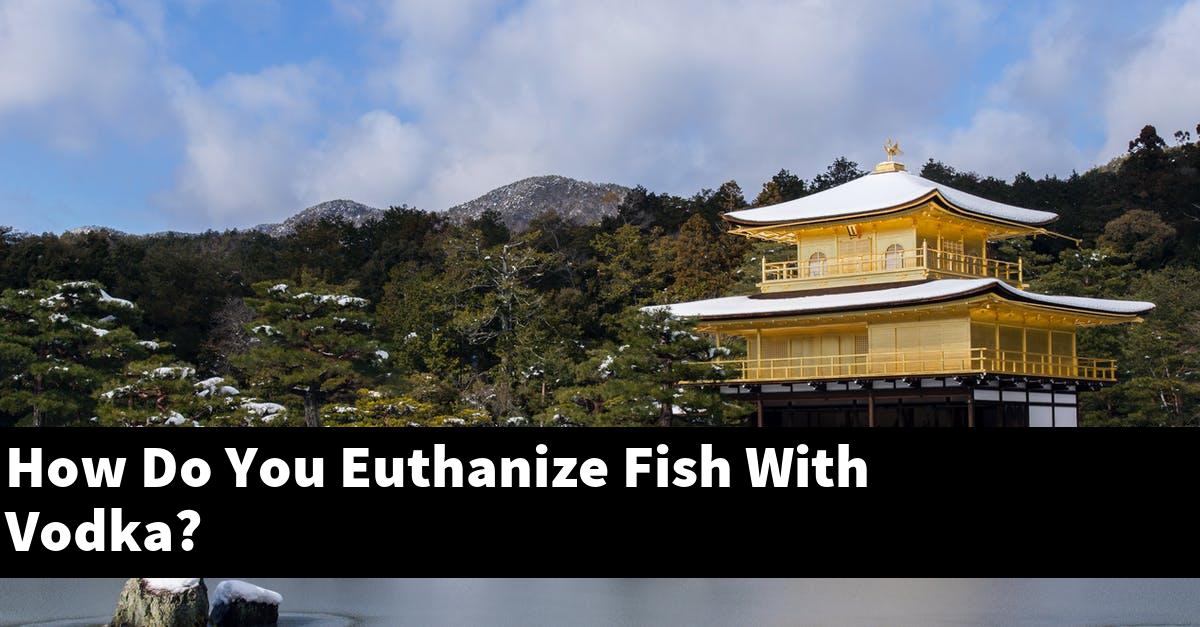 Euthanize fish with vodka