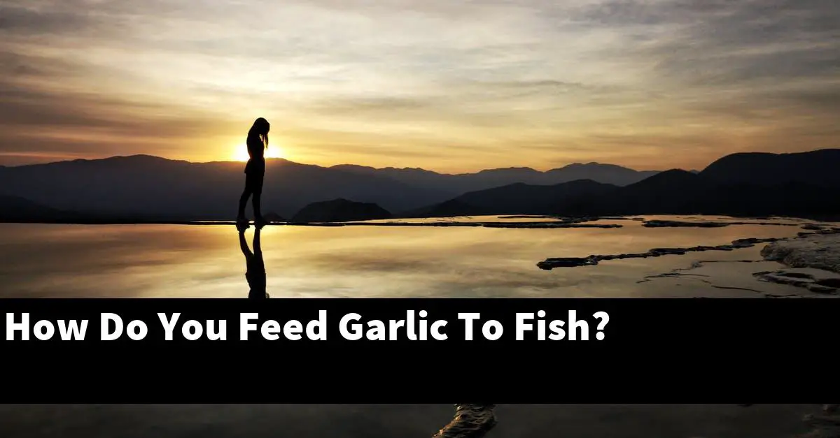 How Do You Feed Garlic To Fish?