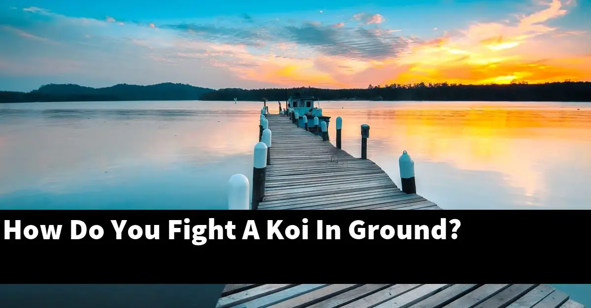 How Do You Fight A Koi In Ground?