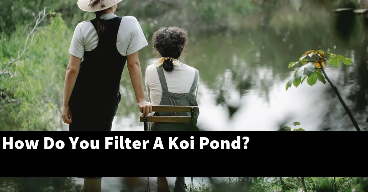 How Do You Filter A Koi Pond?