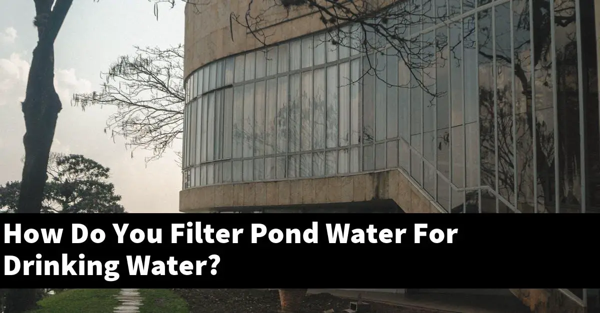 How Do You Filter Pond Water For Drinking Water?