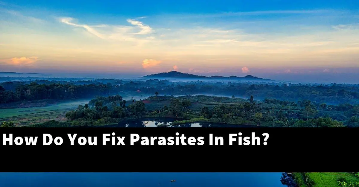 How Do You Fix Parasites In Fish?