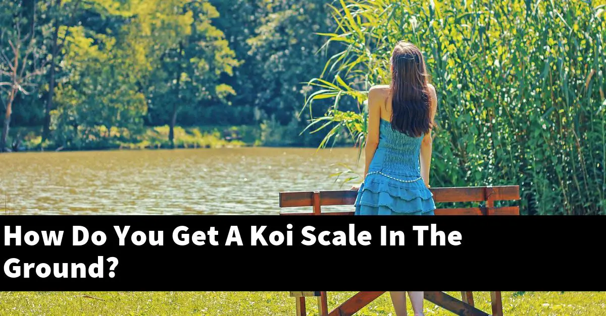 How Do You Get A Koi Scale In The Ground?