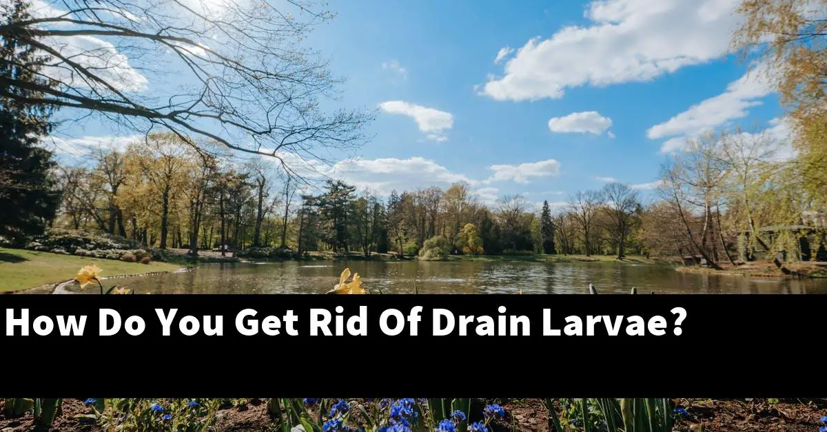 How Do You Get Rid Of Drain Larvae?